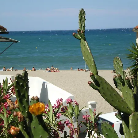 T2 Lumineux Au Racou Avec Piscine Et Parking, 100m De La - - Fr-1-732-7 Argelès-sur-Mer
