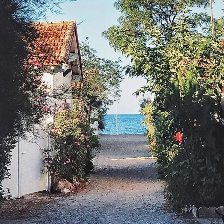 Apartman T2 Lumineux Au Racou Avec Piscine Et Parking, 100m De La - - Fr-1-732-7 Argelès-sur-Mer