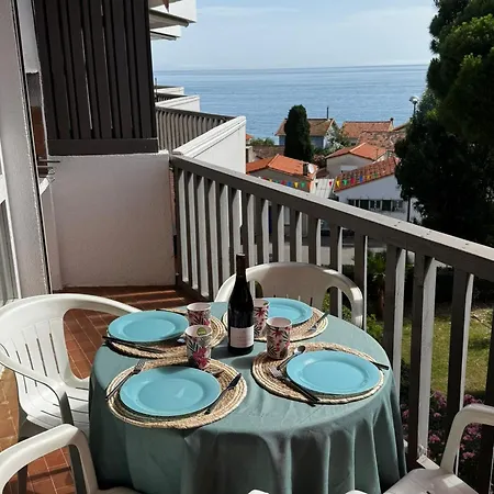 Au Racou A 100m De La Avec Piscine Et Parking - Fr-1-732-7 公寓 *