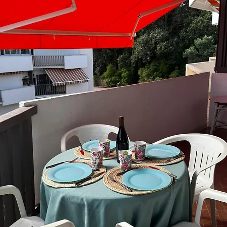 Διαμέρισμα Au Racou A 100m De La Avec Piscine Et Parking - Fr-1-732-7 *